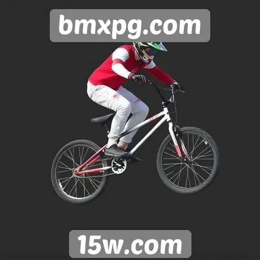 A comunidade de BMXPG e suas interações online